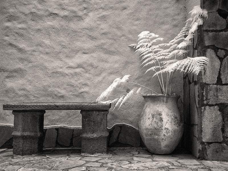 Ferns and Stone - Roy Essery.jpg